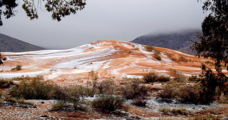  Snowfall is vanishingly rare in the Sahara, with the last record flurry of snow taking place almost four decades ago