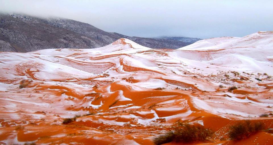  The beautiful snowfall made the desert look like an ice cream DESSERT