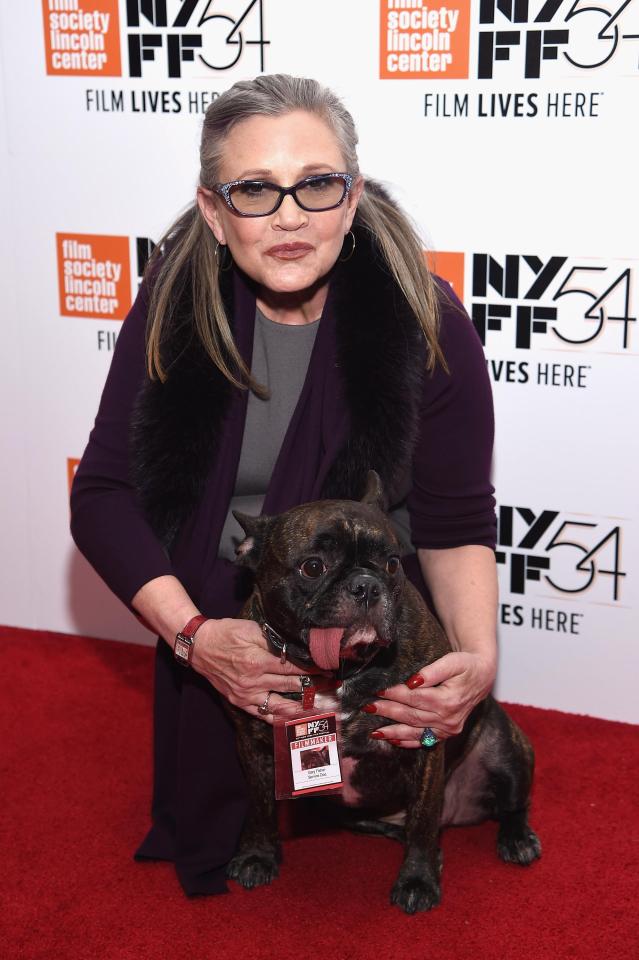  Carrie with her beloved French Bulldog Gary