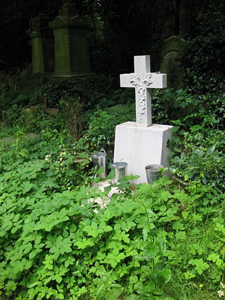  The gravesite was pictured looking overgrown after the singer's death