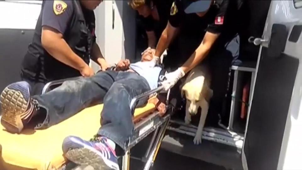  The incredible footage reveals the loyal pair followed their owner into the ambulance as he was rushed to hospital