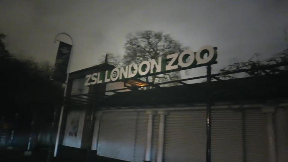  The teens broke in to the zoo and posted the footage on December 23, just before Christmas