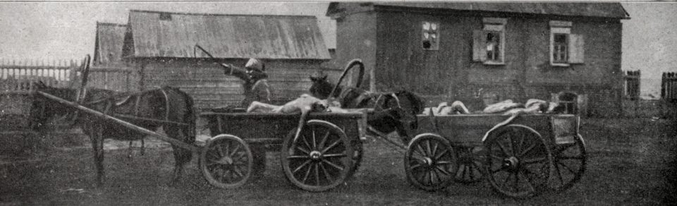  Dead bodies are carried by cart through the city of Samara