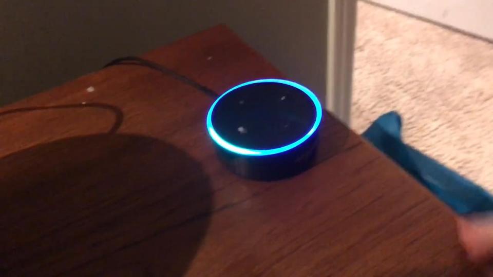  The adults rush to shut Alexa down before she says anything more to the boy