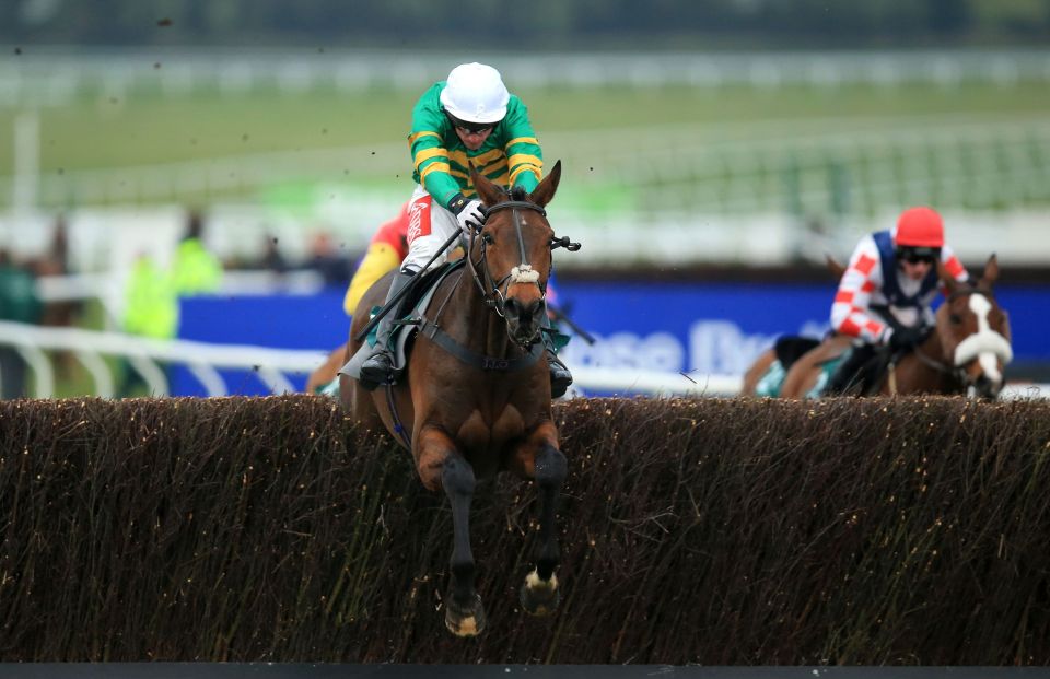  Minella Rocco had a heavy fall at Aintree on his last start