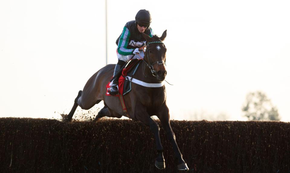  Altior has been foot-perfect over fences so far