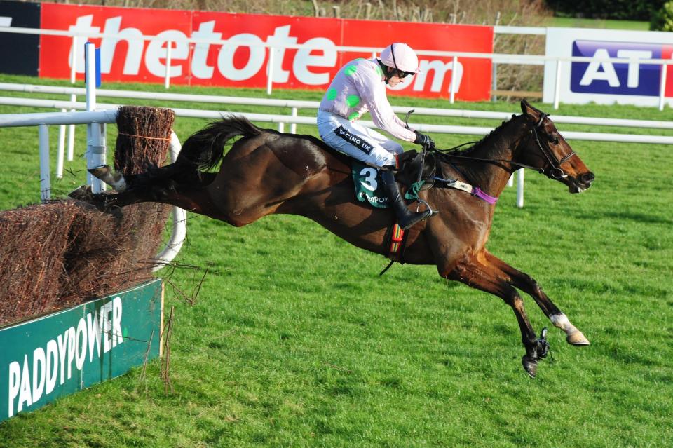  Douvan recorded his 13th straight win at Leopardstown