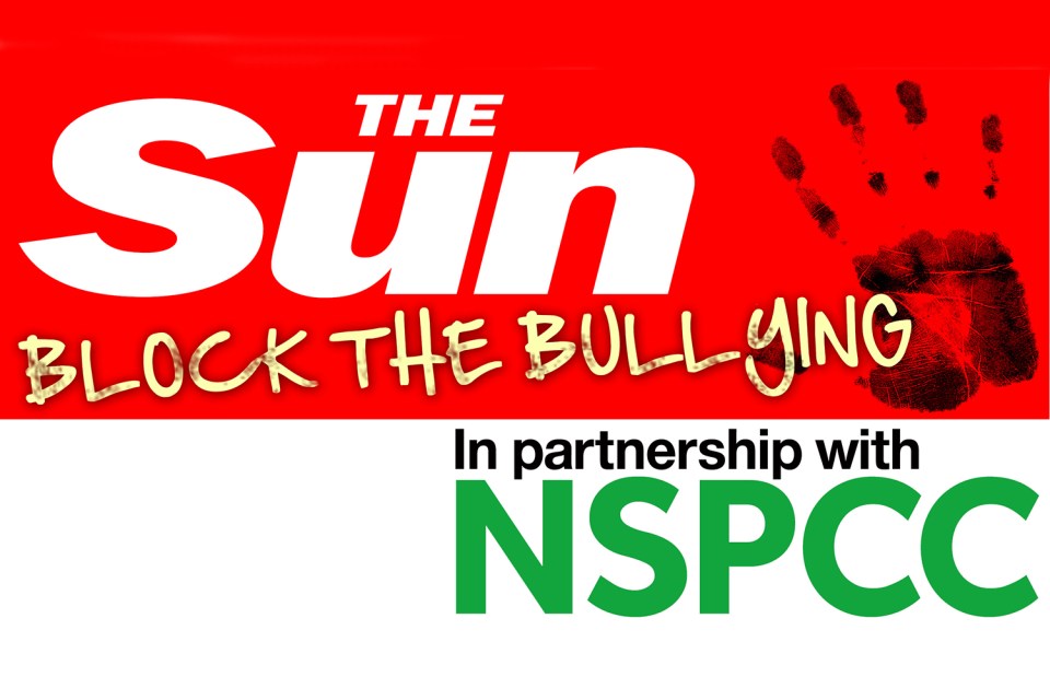  The Sun's Block the Bullying campaign with NSPCC has had a victory in the latest online safety push