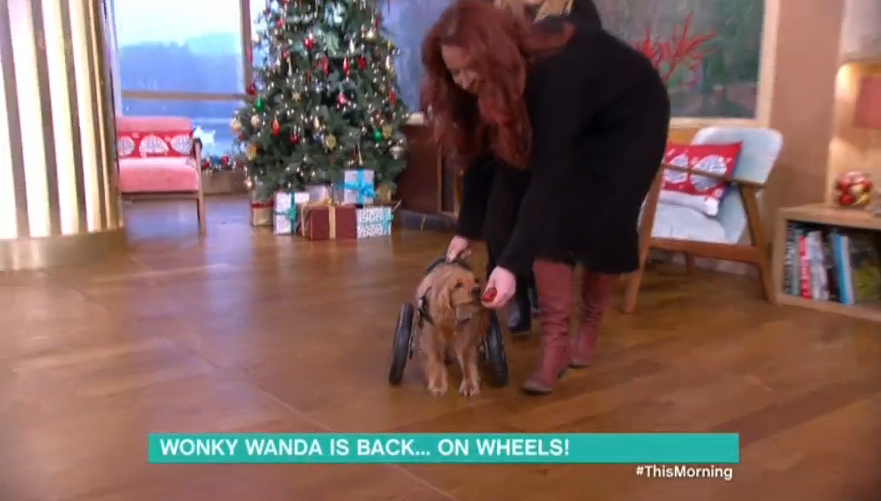  Wonky Wanda is back...but this time she's got wheels