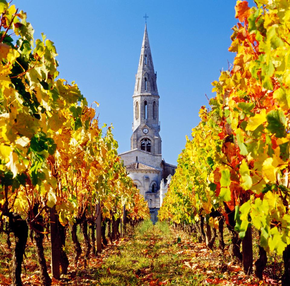  Go on a grape escape in Bordeaux