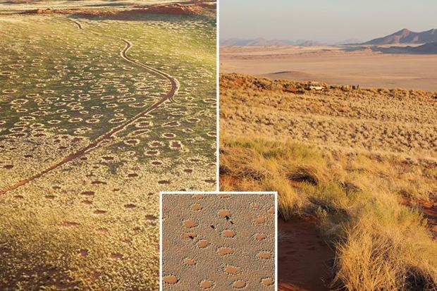 namib desert