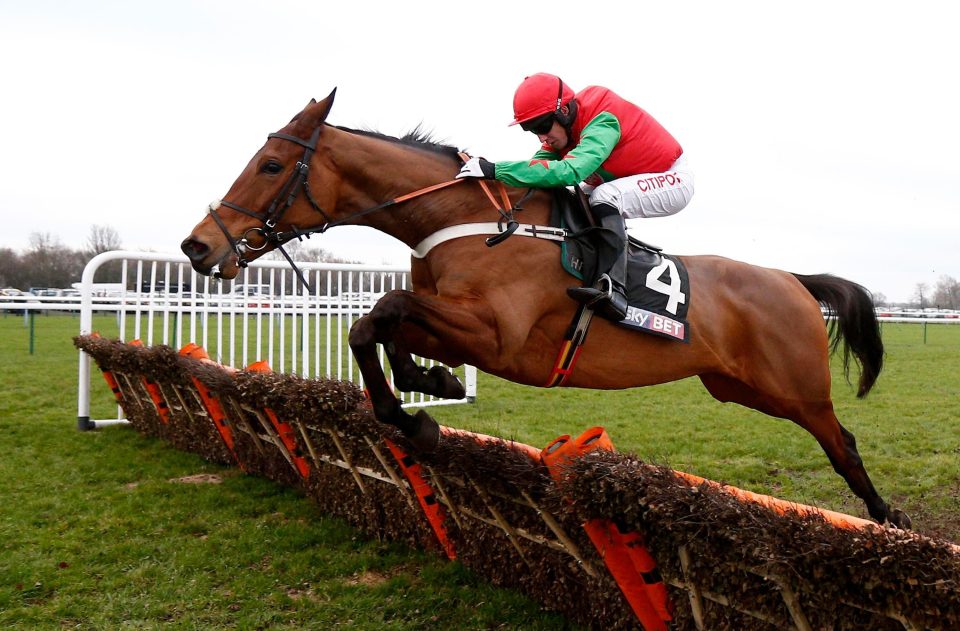  Neon Wolf clears the last in splendid isolation at Haydock