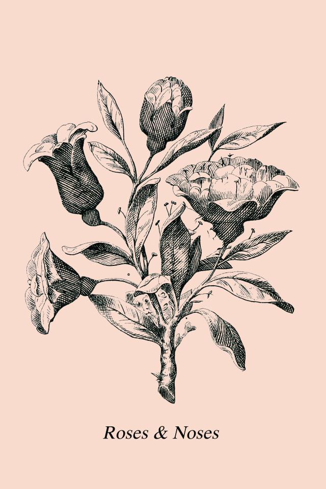  This old school image of a bunch of roses has baffled internet users