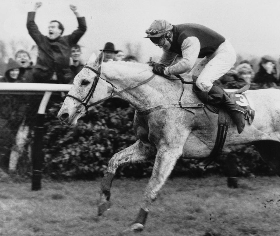  Fans celebrate another Desert Orchid victory at King George VI Chase