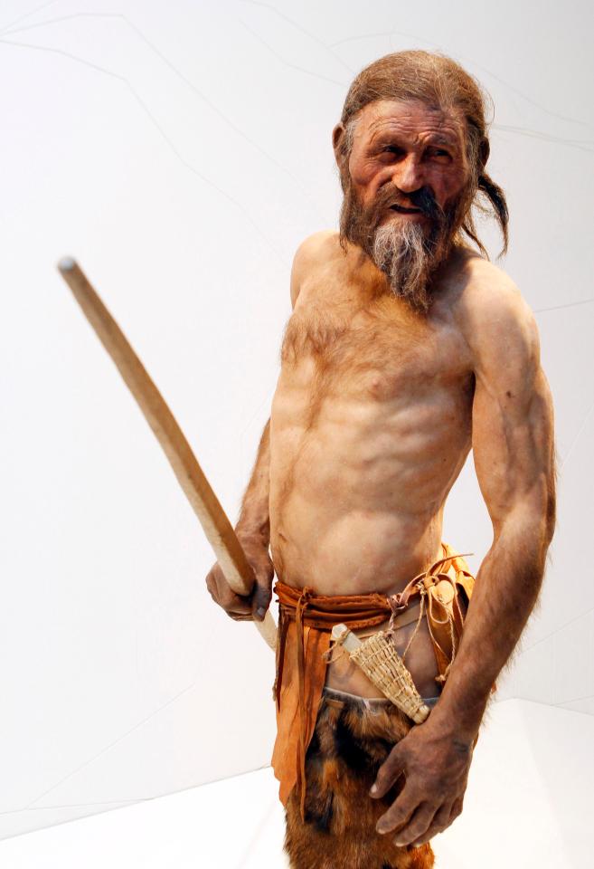  Scientists were able to re-create Otzi after an analysis of his mummified body