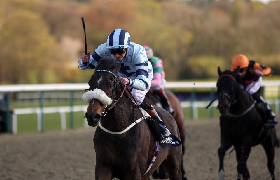  Captain Cat (centre in light Blue) ridden by James Doyle wins the Ladbrokes all-weather mile Championships condition stakes during the All Weather Championships Finals Day at Lingfield Park