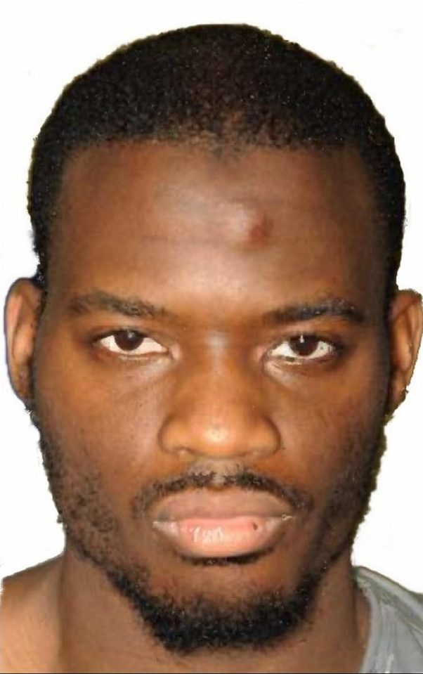  Adebolajo brutally murdered Fusilier Lee in a south London street in 2013