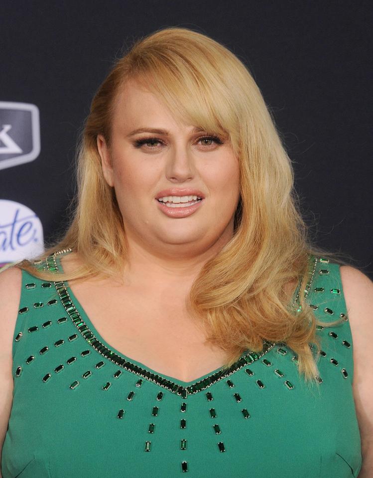  Rebel Wilson also stars in Pitch Perfect 3