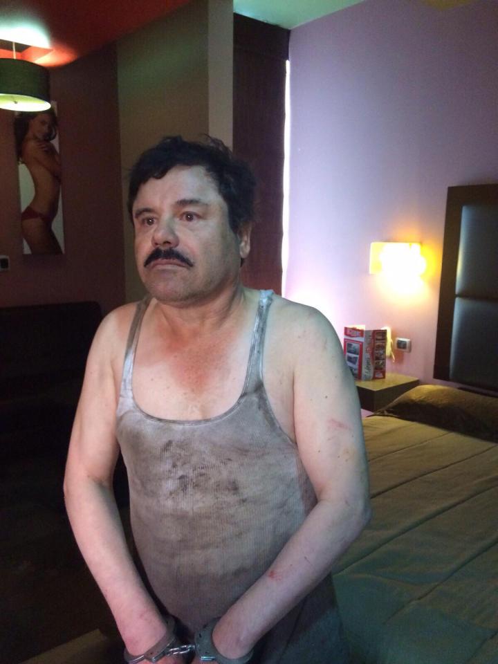  Pictured during his arrest last year - Mexico agreed to hand him over to US authorities and on January 19, 2017