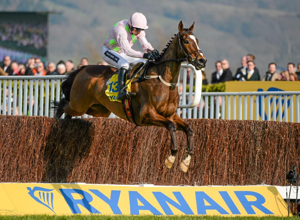  Vautour tragically died in a freak accident