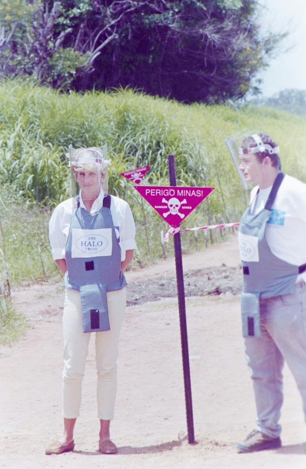  Diana's visit to the war-scarred African nation helped raise the profile of the terrible injuries inflicted on innocent Angolans by the hidden explosives