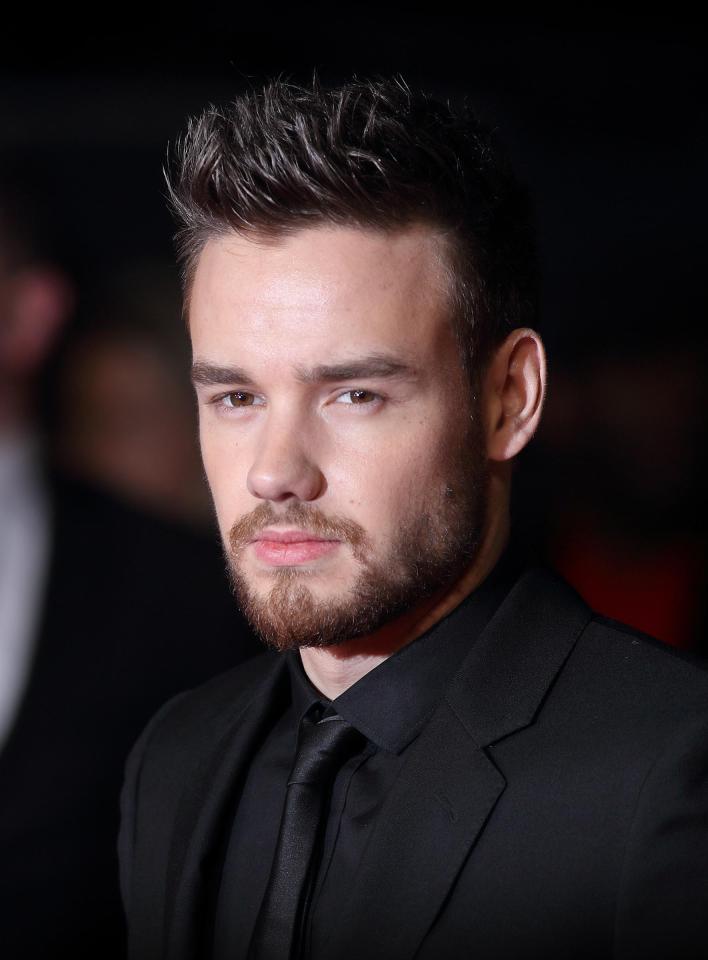  Sex factor ... the raunchy West Midlands town is home to One Direction’s Liam Payne