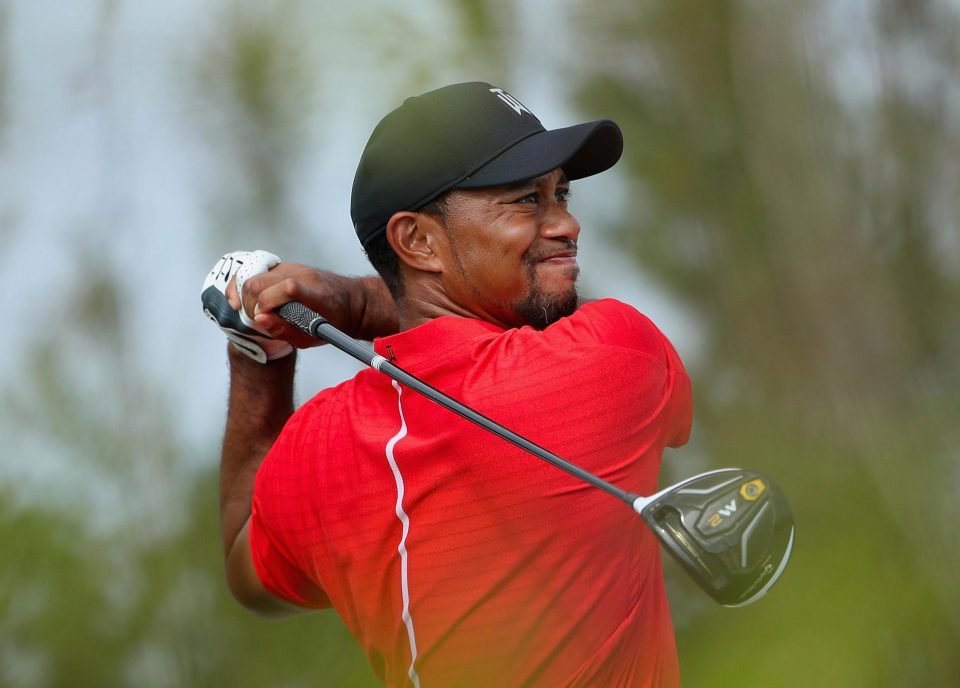 Tiger Woods used TaylorMade woods at Albany, and has now added irons and wedges to his bag