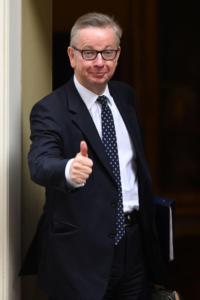  Michael Gove urged her to commit to leaving the Single Market