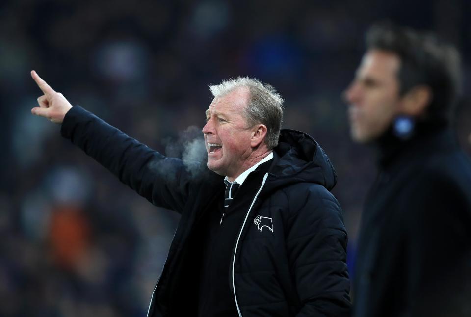  Steve McClaren has landed the ace on loan until the end of the season