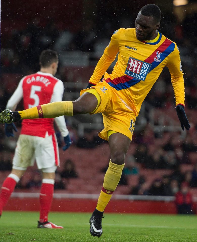  It seems the Palace striker is ready to back the south London club's relegation battle