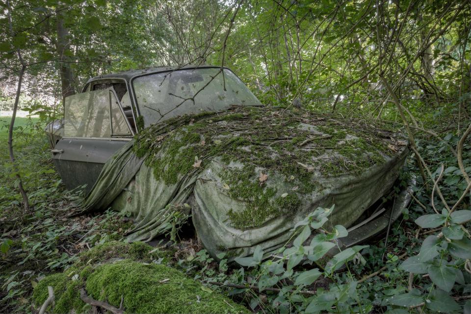  A sheet over a Lancia car is covered in moss after the vehicle was left to the elements