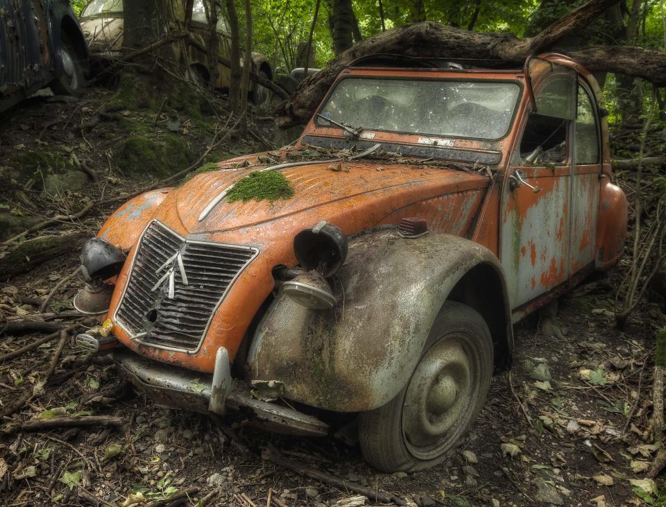  A bulky tree appears to have crashed down on the roof of this clapped-out Citroen