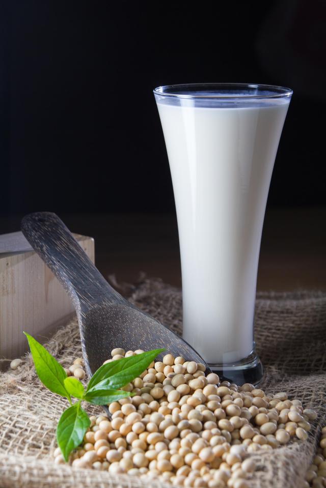  An antioxidant found in soy can help prevent fatty liver disease