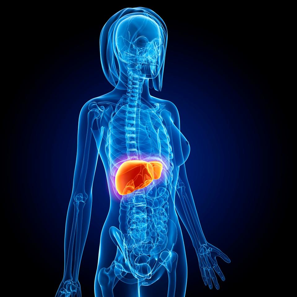  Fatty liver disease affects 33 per cent of the UK's population