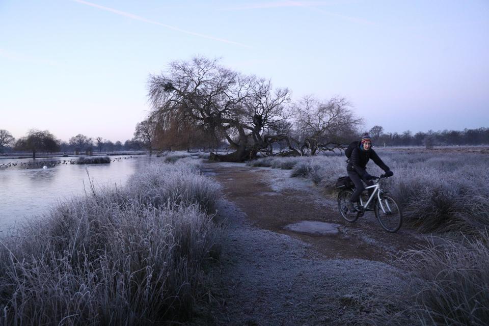  A cyclist enjoys a brisk ride through Bushy Park in London this morning despite the sub-zero conditions