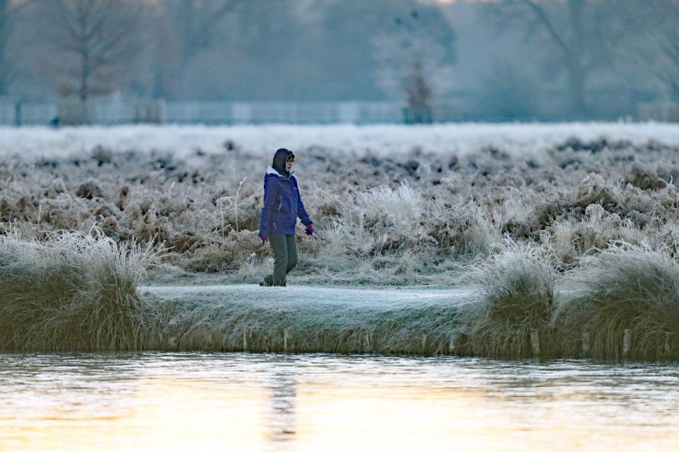  A walker braves the frosty start for a bitterly cold stroll through Bushy Park in south west London