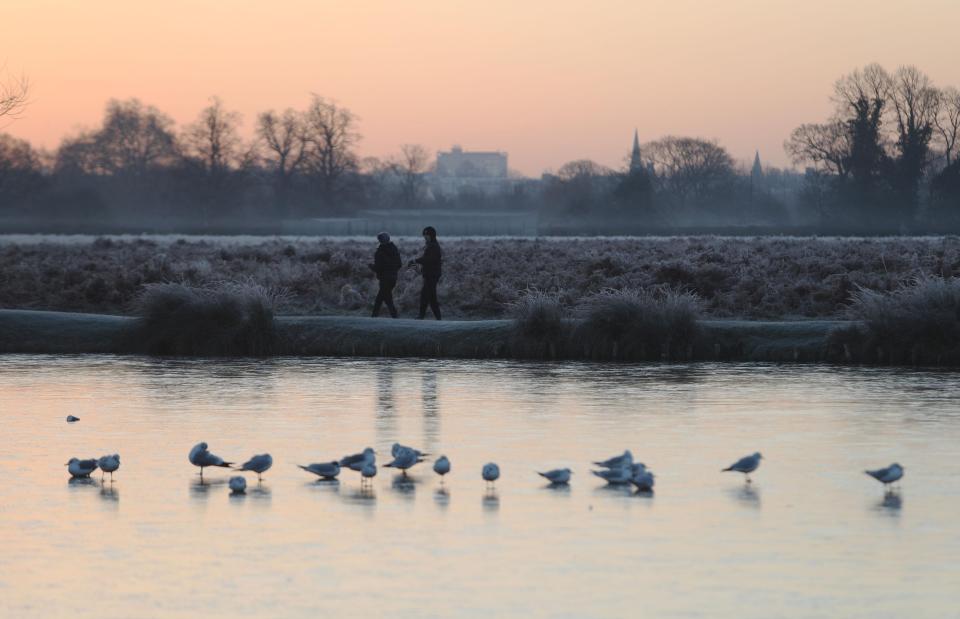  Ducks woke to chilly temperatures in Bushy Park this morning after a deep freeze overnight