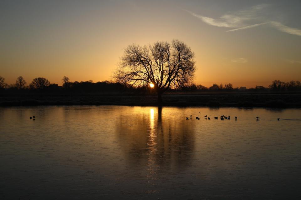  The sun rises in Bushy Park this morning ahead of another frosty day for Britain