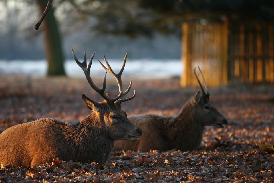  The UK is expected to get warmer heading into the weekend after a cold start this morning near Hampton Court