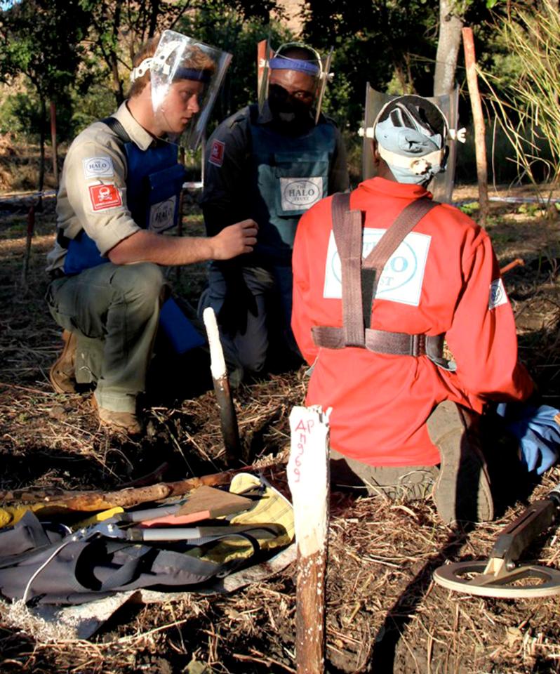  Her son Prince Harry continued her legacy when he worked with Halo to remove landmines in Mozambique seven years ago