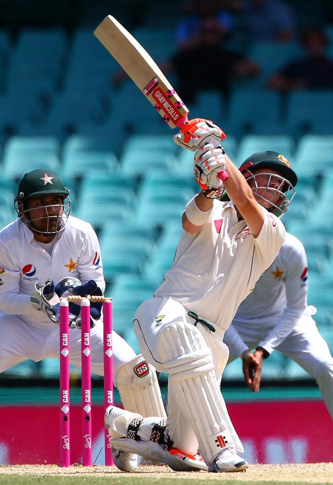 David Warner was in an explosive mood as he hammered his 50 from just 23 balls