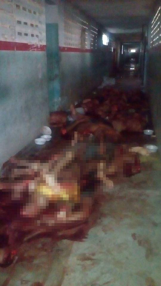  Graphic images emerged showing the corpses of the inmates killed in a riot in Agricola de Monte Cristo Penitentiary in Roraima