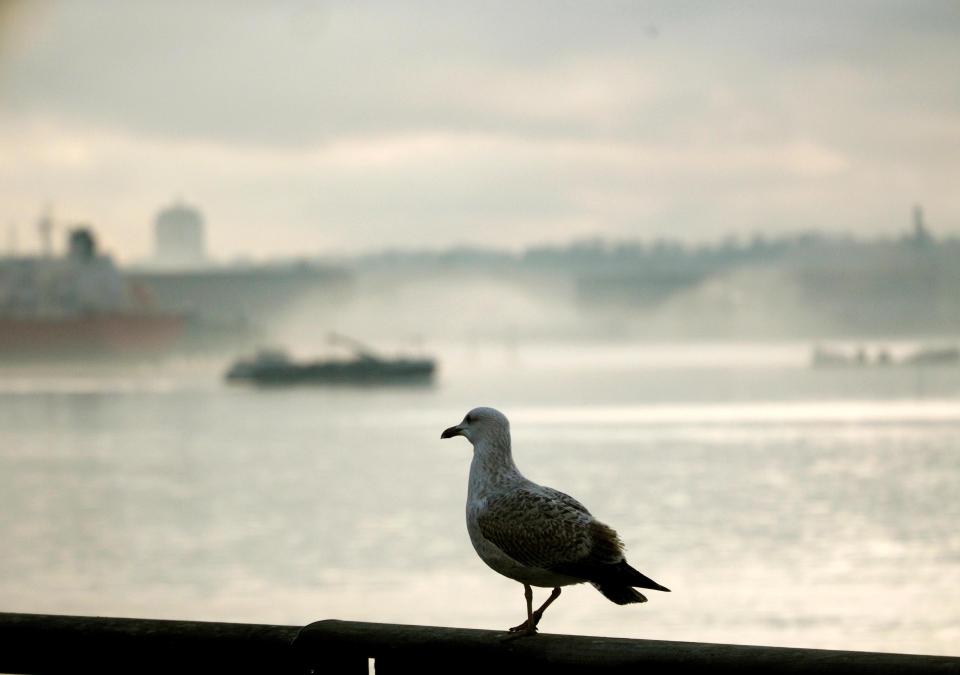  It was a misty afternoon on the River Mersey as Britain enjoys a milder climate but temperatures will drop dramatically later in the week