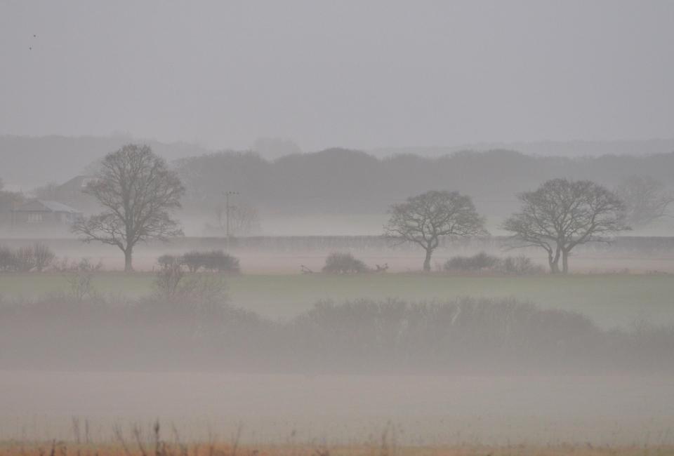  The morning mist in East Sussex ahead of the wintry weather sparked by cold Arctic air heading our way this week