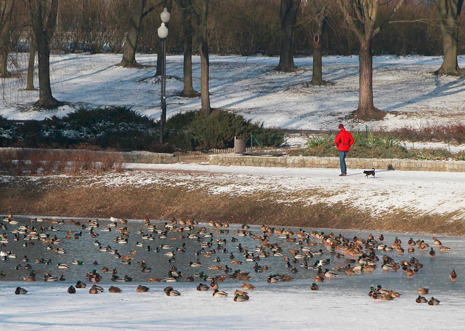  A snowy park banks onto a lake in Warsaw, Poland