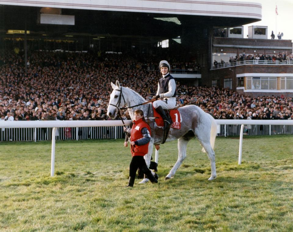  Desert Orchid at Kempton Park with Richard Dunwoody