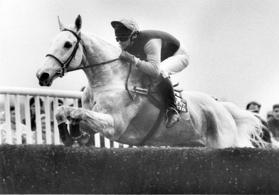  Desert Orchid will be dug up after plans to sell off Kempton Park racecourse were announced