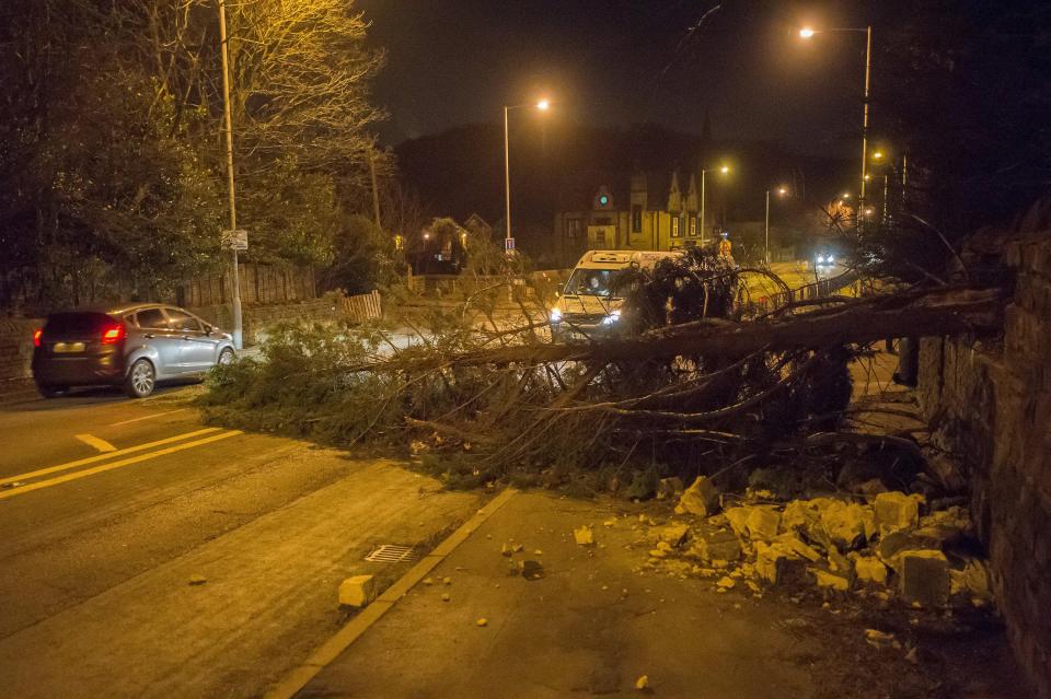  Northern Powergrid, which supplies power to homes in the North East and Yorkshire, said it had 545 customers without power today