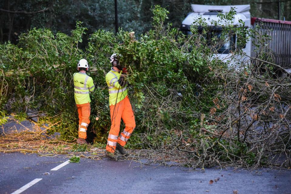  Workers tackle a large Sycamore tree blocking the A61 in Sheffield, South Yorkshire blown down in high winds