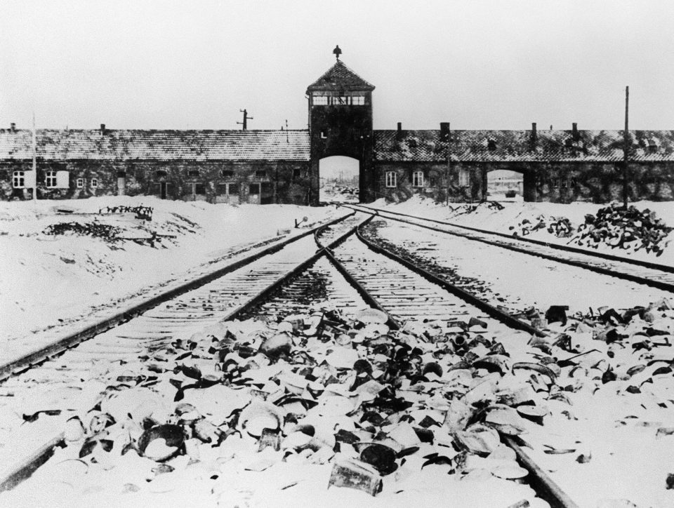  Irving dismissed Auschwitz’s gas chambers as a 'fairytale'